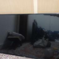 تلویزیون 43 اینچ سام