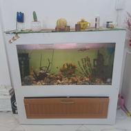 اکواریوم 120