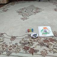 فروش فرش دوازده متری