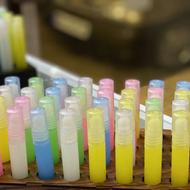 نیازمند به دوبازاریاب