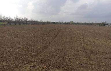  زمین کشاورزی 6000 متر در جاده بهنمیر