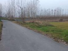 فروش 2590 متر زمین باغی داخل طرح در شیپور