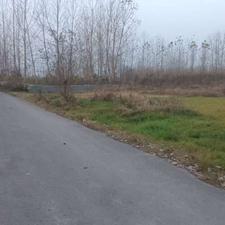 فروش 2590 متر زمین باغی داخل طرح