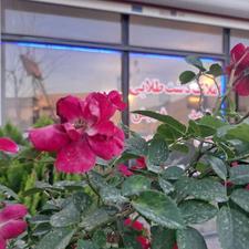 املاک دشت طلایی ... دماوند هومند وادان