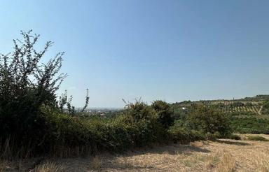 2300 متر ویو جنگلی داره