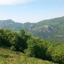 3 هکتار زمین کشاورزی