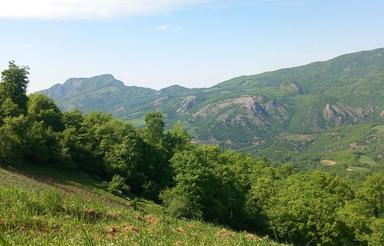 3 هکتار زمین کشاورزی