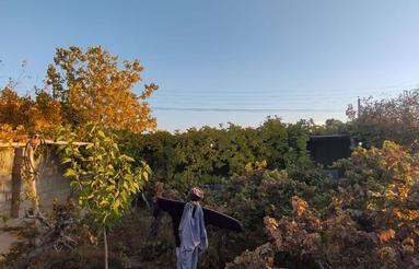 خونه باغ ویلایی وامرزان