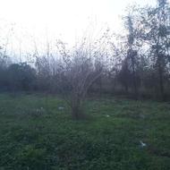 471 متر زمین باغی جاده گلسفید