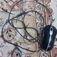 موس سیمی از مدل دل