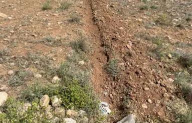 1000متر زمین باغ کشفی لار روبرو باغ زیتون