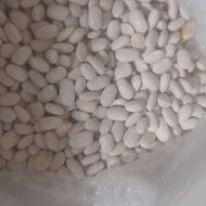 لوبیا قرمز و سفید درجه یک