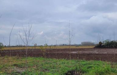 یک هکتار زمین باغی و صنعتی