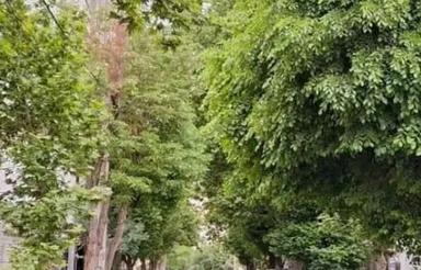 75 متر عروسک مفت بهترین لوکیشن