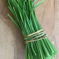 برگ سیر تازه چین و ارگانیک و برگ سبز