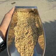 بذر برنج ( تیم بینج )