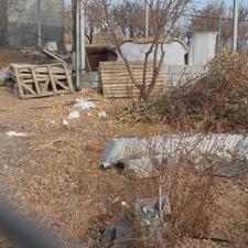 باغ بادام وگردو