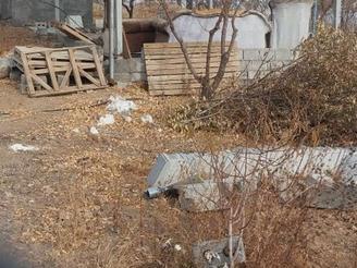 باغ بادام وگردو