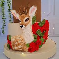 اجاره ماکت کیک