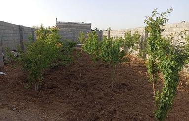 باغ 300متری قیمت مناسب