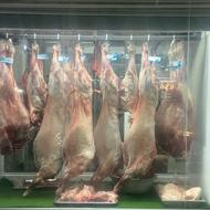 قصابی هایپرگوشت رشیدا