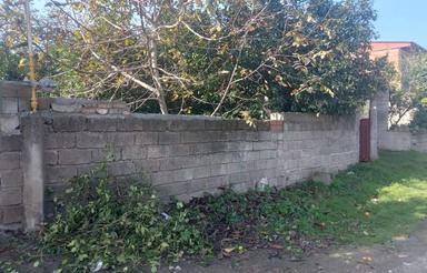 زمین در روستای چیپی