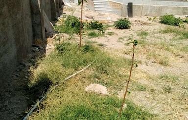 فروش ویلایی