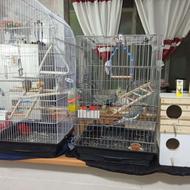 دو جفت عروس هلندی