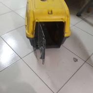 باکس برای سگ های خانگی