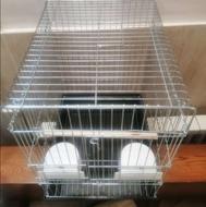 تولیدی قفس 1032 عروس هلندی طوطی مینا