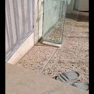 اکواریوم سالم