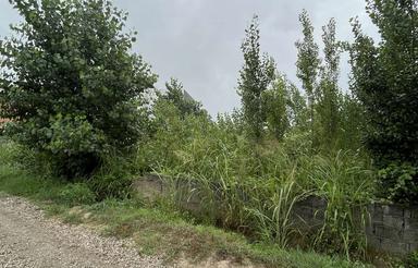 300متر زمین بافت مسکونی در کته پشت آمل