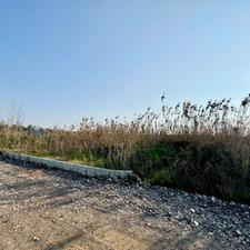 زمین مسکونی 241 متری شهرکی سرخرود