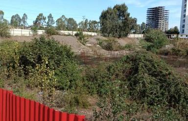 فروش زمین مسکونی 7702 متر در بابلسر