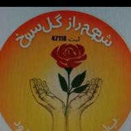 نیروی مراقب پرستار