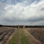 فروش زمین کشاورزی 6700 متر در بیزکی