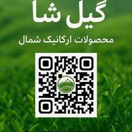 محصولات ارگانیک شمال ( چای،برنج،فندق، بادام زمینی و...)