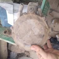 ژگلاتور گاز مایع