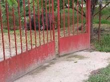 فروش زمین کشاورزی 6000 متر در نعمت آباد در شیپور