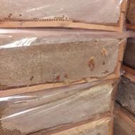 عسل ناب سراب و بره موم خالص و خیارشور