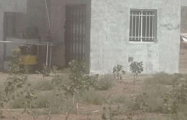 یک هکتار زمین گشاورزی