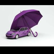 وام گیرنده میشم