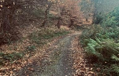 فروش زمین مسکونی 180 متر در کارمزد