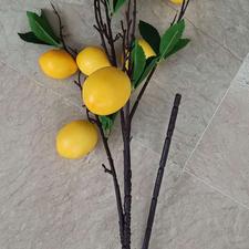 شاخه لیمو زرد