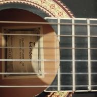 گیتار تنسون آلمان