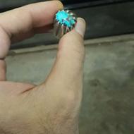 فیروزه شجرنیشابوری