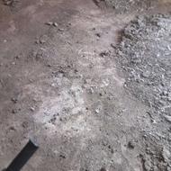 فروش‌کود‌مرغی