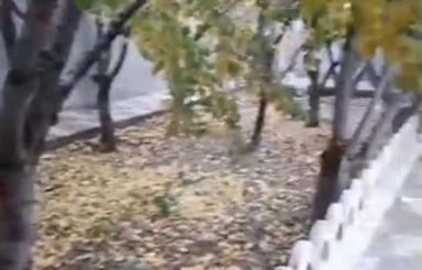 باغ ویلای650متری