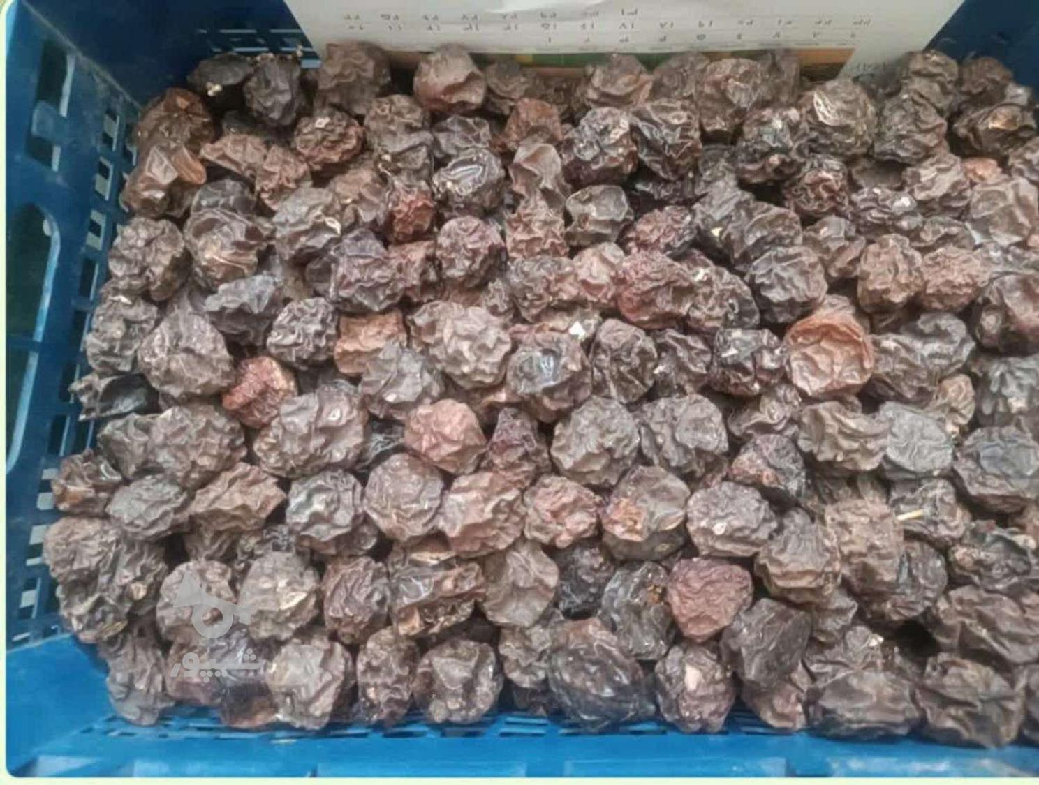 آلوچه درجه یک دویست و پنجاه تومن آلوچه درجه دو دویست تومن