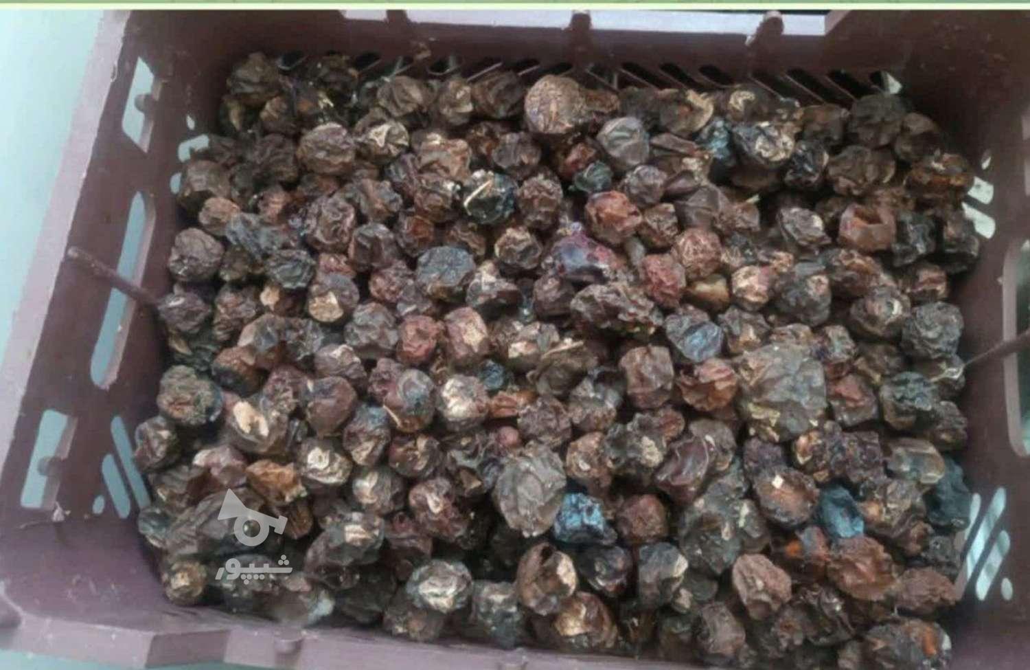 آلوچه درجه یک دویست و پنجاه تومن آلوچه درجه دو دویست تومن